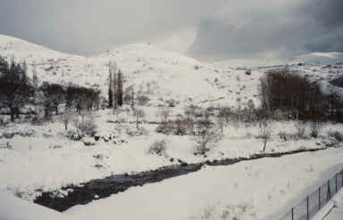 nevada_fres_12_2004(6)grande.jpg (578432 bytes)