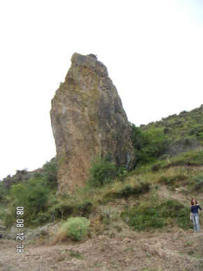 rozola_2004_grande.JPG (270338 bytes)